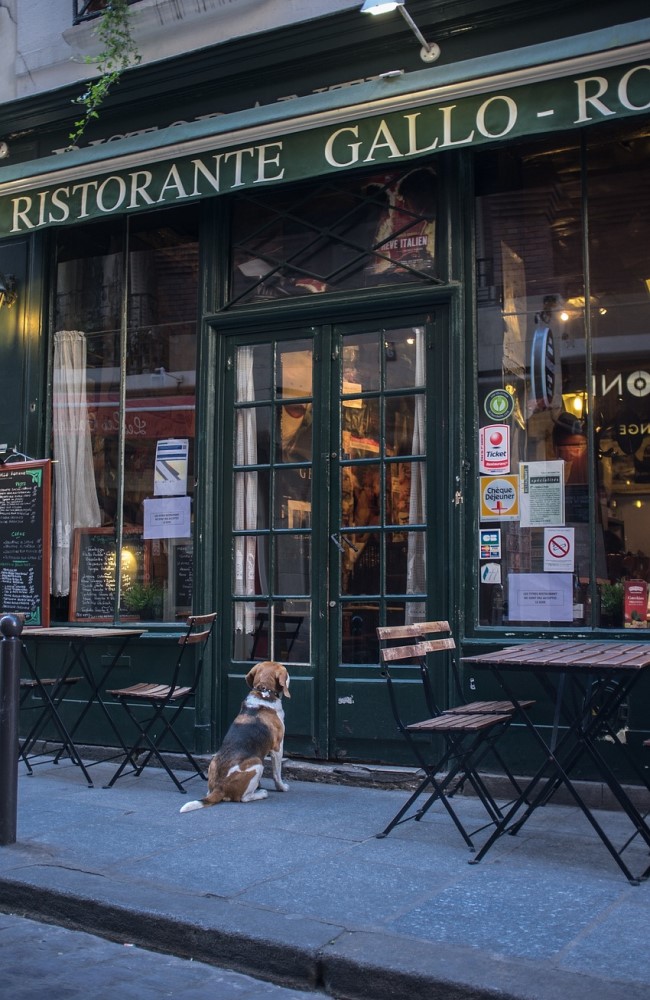 Restaurant in Paris, France - (How to travel France - Best Tips and Guides)